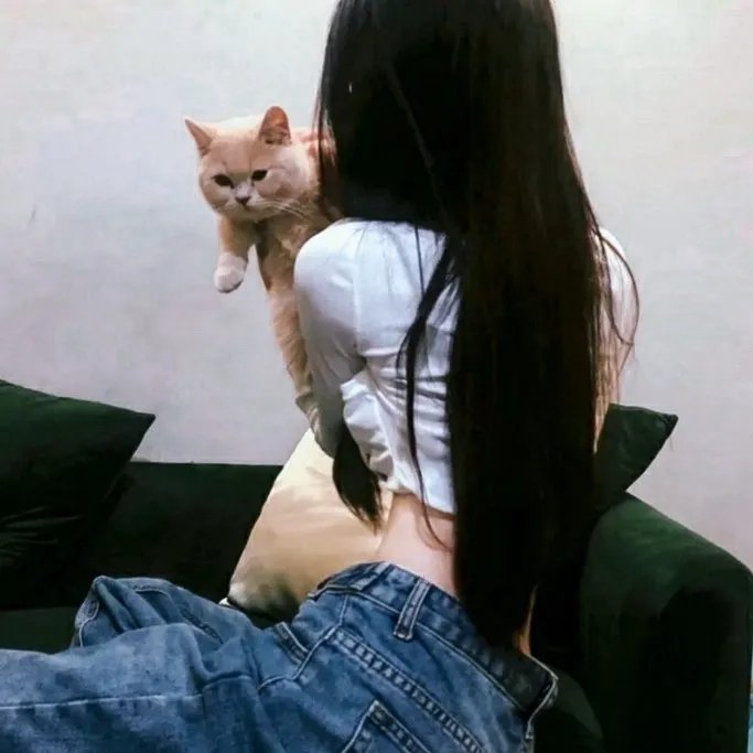 好莱坞真情告白 海报